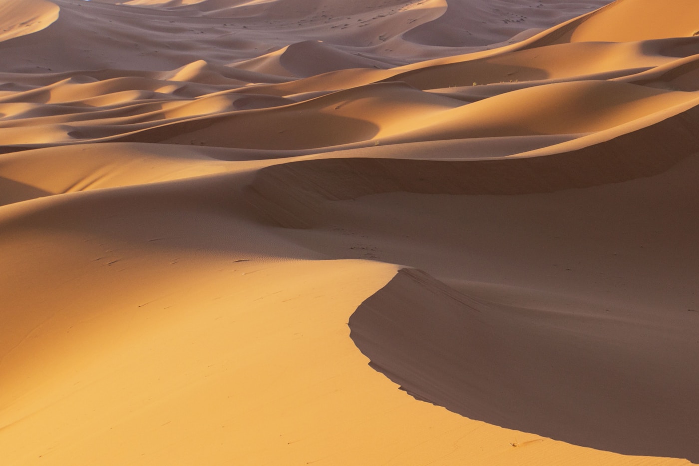 MERZOUGA & VALLÉE DU DRAÂ